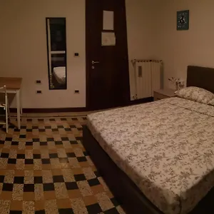 New Life Местре